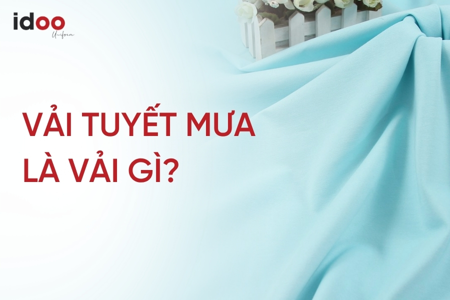 Vải tuyết mưa (Ponte Roma) là vải gì? Có tốt không?